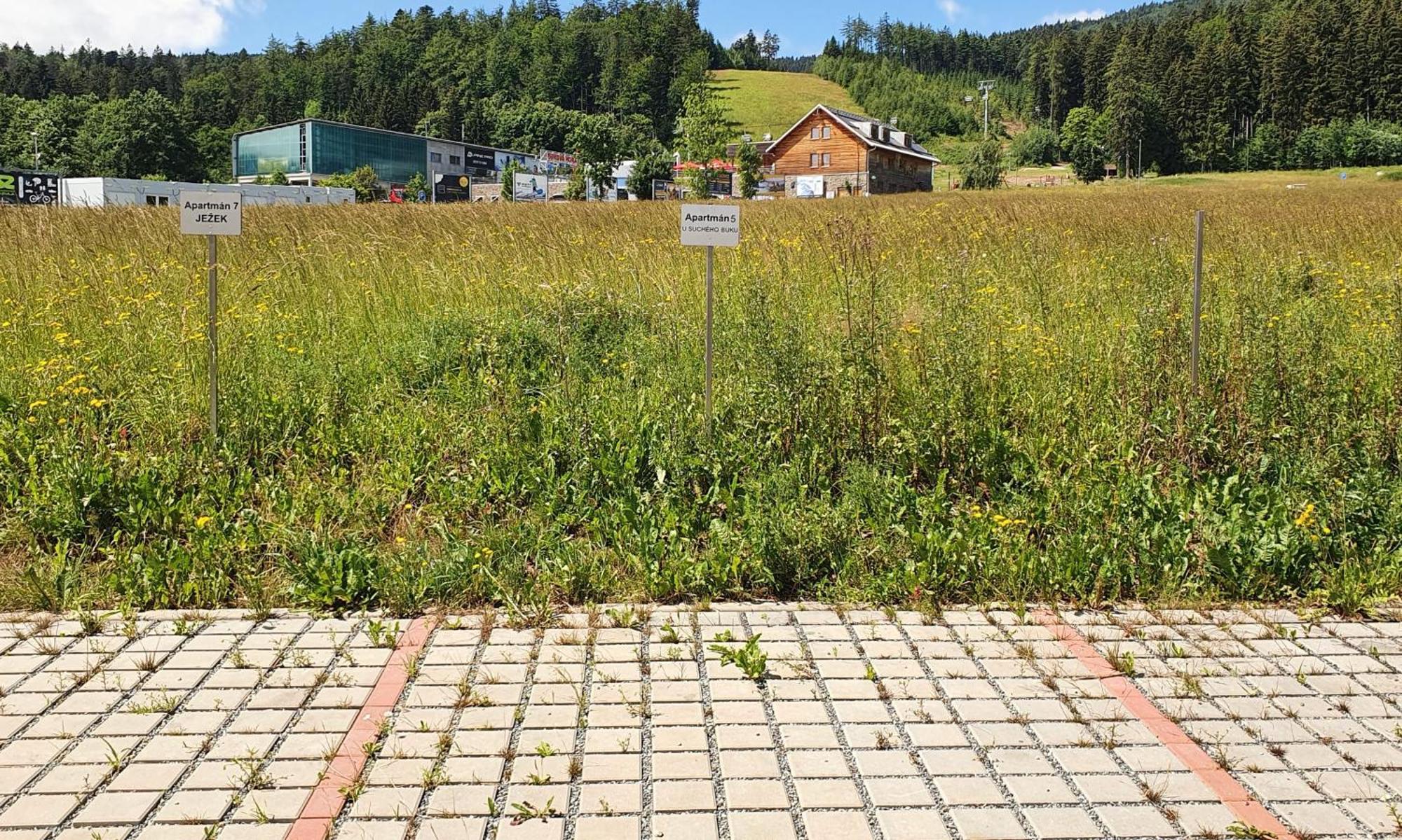 Apartman U Sucheho Buku - Bukova Hora Červená Voda Kültér fotó